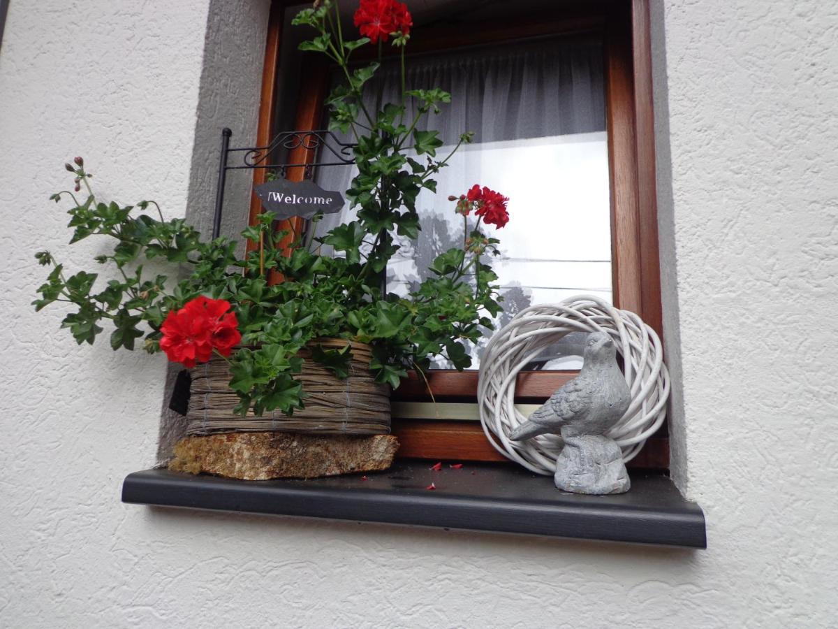 Le Chant Du Merle Neufchateau Exterior photo
